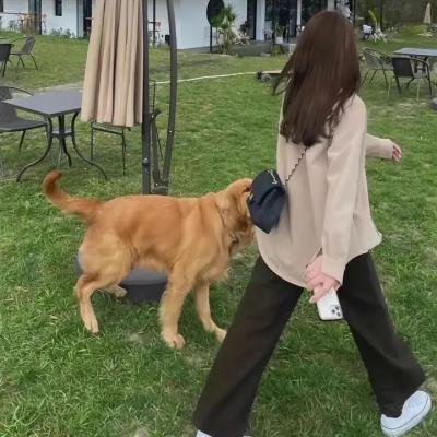 炮灰海报